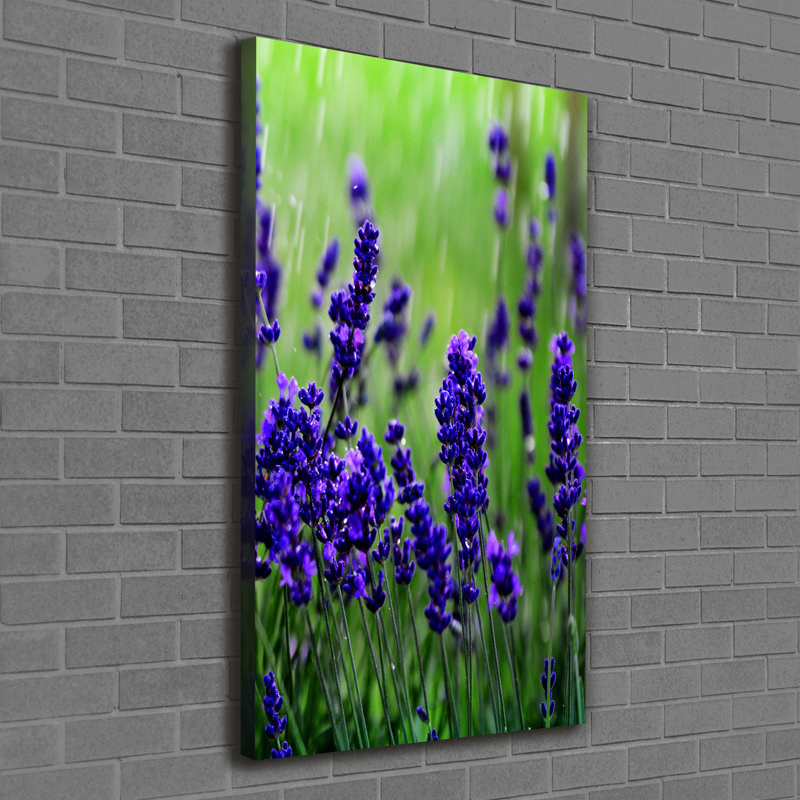 Lavender Field - Wrapped Canvas Print
