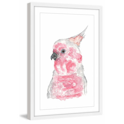 'Major MitchellS Cockatoo' by Thimble Sparrow Framed Print