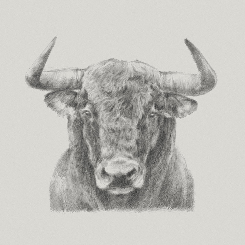 «Black and White Bull», peinture sur toile, H 12 po x l 12 po
