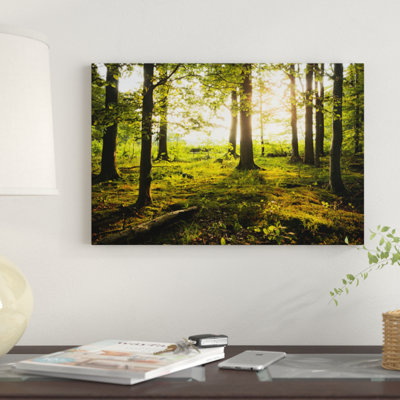 " Forest " by Stefan Hefele