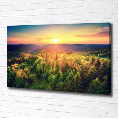 Forest Sunset - Wrapped Canvas Print