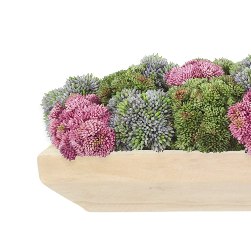Sedum and Moss Arranged in Wood Planter, Green/Pink