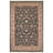 Darriah Oriental Indoor Rug