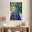 Eucalyptus Harnek Oahu Rainbow-108562879