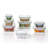 Glass Food Storage - Set of 8 Containers and 8 Lids