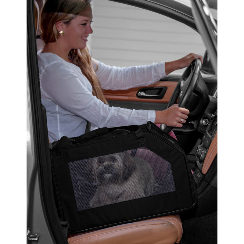 Collapsible Pet Carrier with 2 Doors