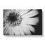 Pretty Flower - Wrapped Canvas-56629962