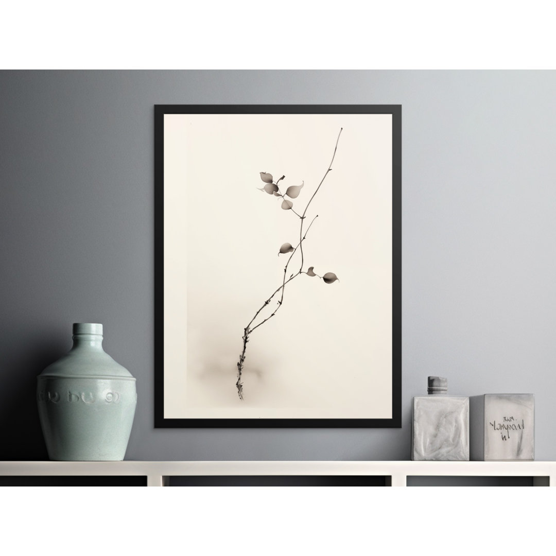 Aster Print