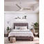 Eisenhower 60cm Ceiling Fan with LED Lights
