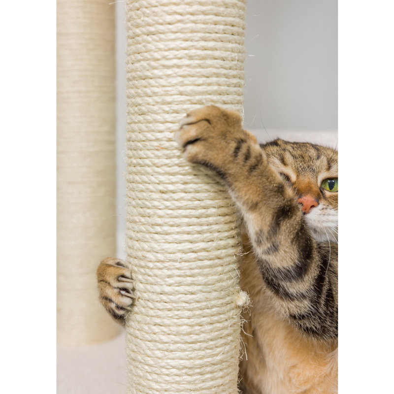 38-Inch Sky Blue Sisal Cat Tree with Tunnels and Steps