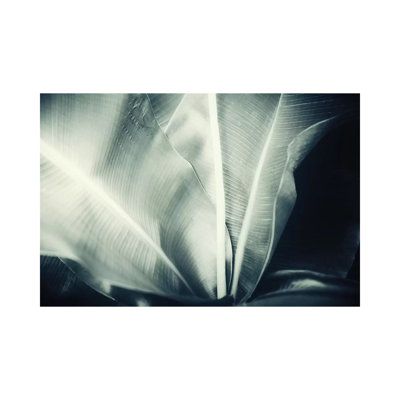 Botanical I 1 Piece Wall Art on Canvas