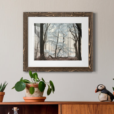Silverwood - reproduction de photo sur papier encadrée