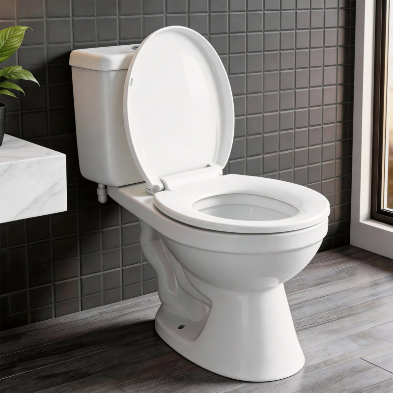 Slow Close Round Toilet Seat and Lid