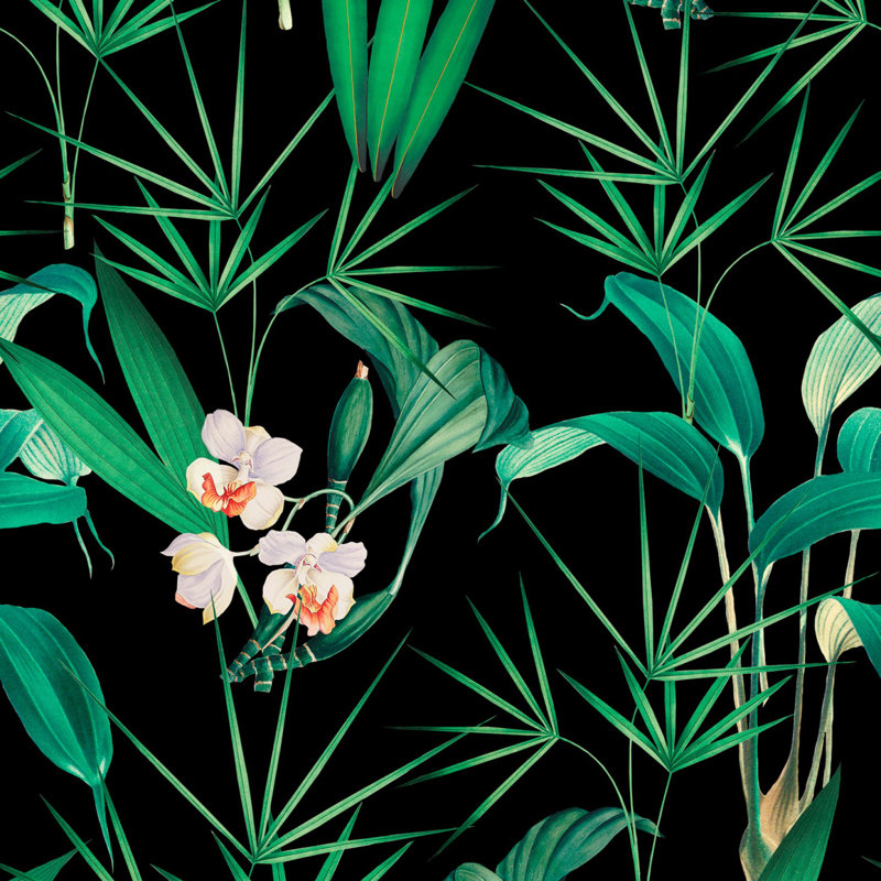 Palm Springs Floral Wallpaper Roll, Green/White/Black