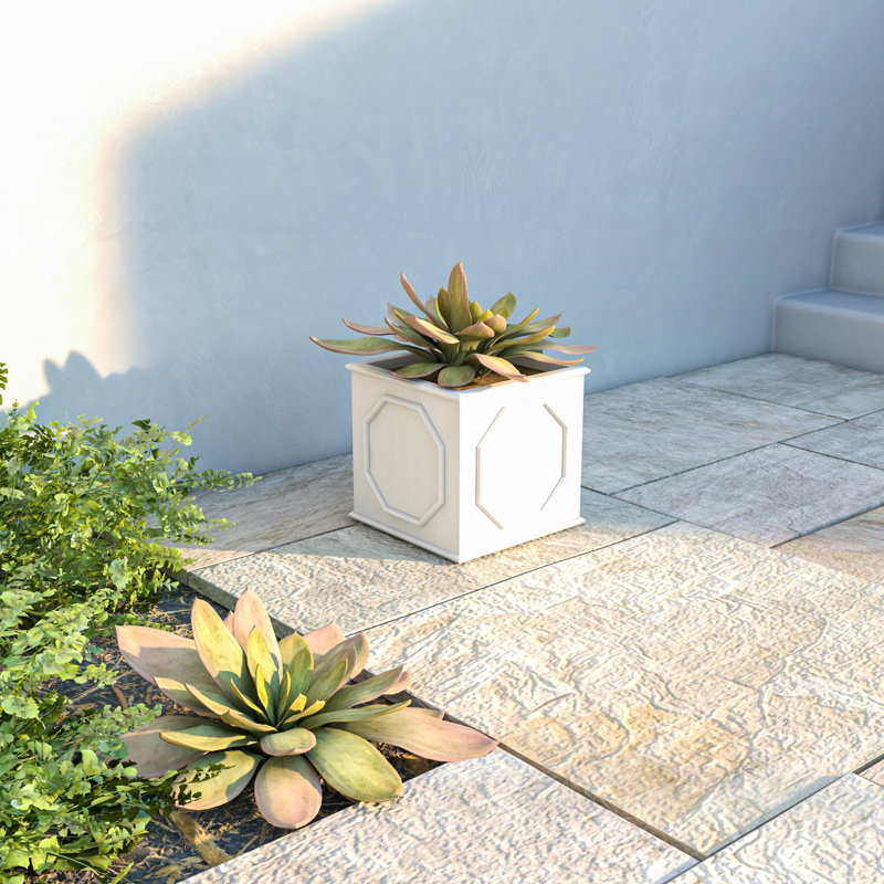 Boîte à fleurs en argile Crissman, H 10,2 po x l 10,2 po x P 10,2 po, Blanc