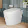 Bidet Toilet, One-Piece Elongated Smart Toilet with Foot Kick Flush, Warm Wash (Seat Included)