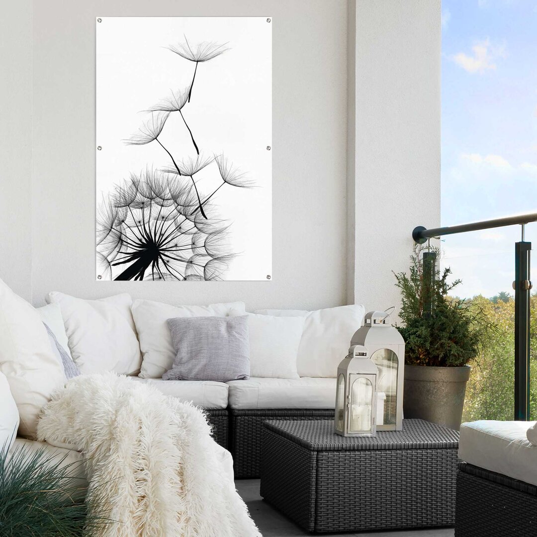 Gartenposter Pusteblume Pflanze - Naturmotiv - Stylisch