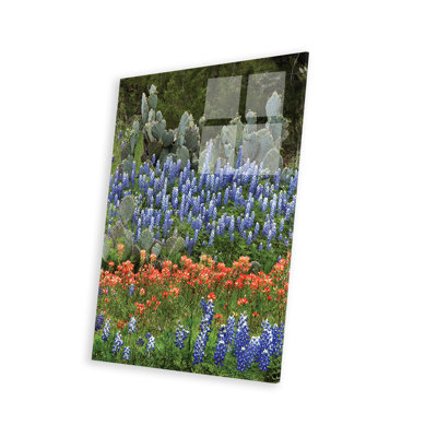 " Bluebonnet, Paintbrush Cactus, Texas And Pricky Pear - Vertical " by Tim Fitzharris