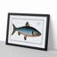 Blue Salmon Fish by M.E. Bloch - Picture Frame Painting Print-55544382-55544379