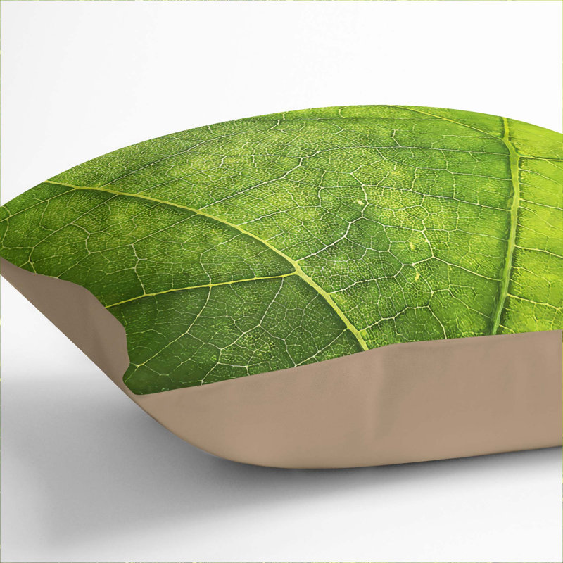 Veins of a Leaf Cushion with Filling, Stone, 40cm H x 40cm W x 15cm D