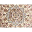 Oriental Area Rug-66174030