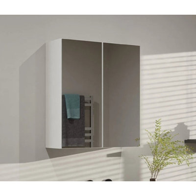 W H Medicine Cabinet Mirror