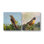 Bird Set by John Beard - Artist Enhanced Canvas Print