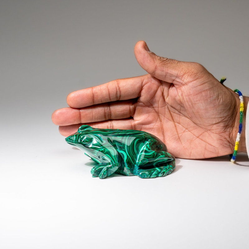 Genuine Polished Malachite Frog Carving (1 lb)