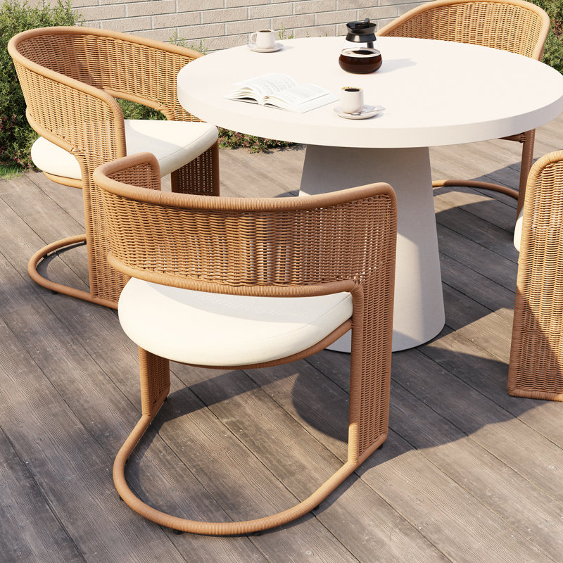 Chaises de salle à manger d'extérieur en osier avec coussin (lot de 2)