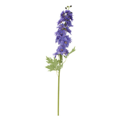 Delphinium - 35,5 pouces boîte de 12