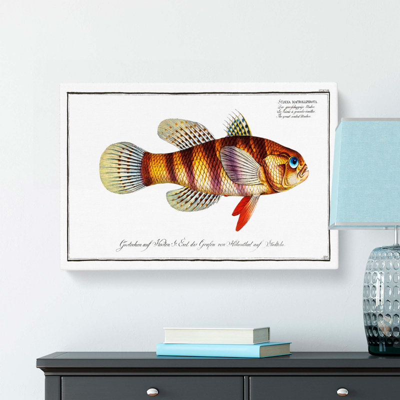 Great-Scaled Umber Fish by M.E. Bloch - Wrapped Canvas, 40cm H x 60cm W x 3cm D