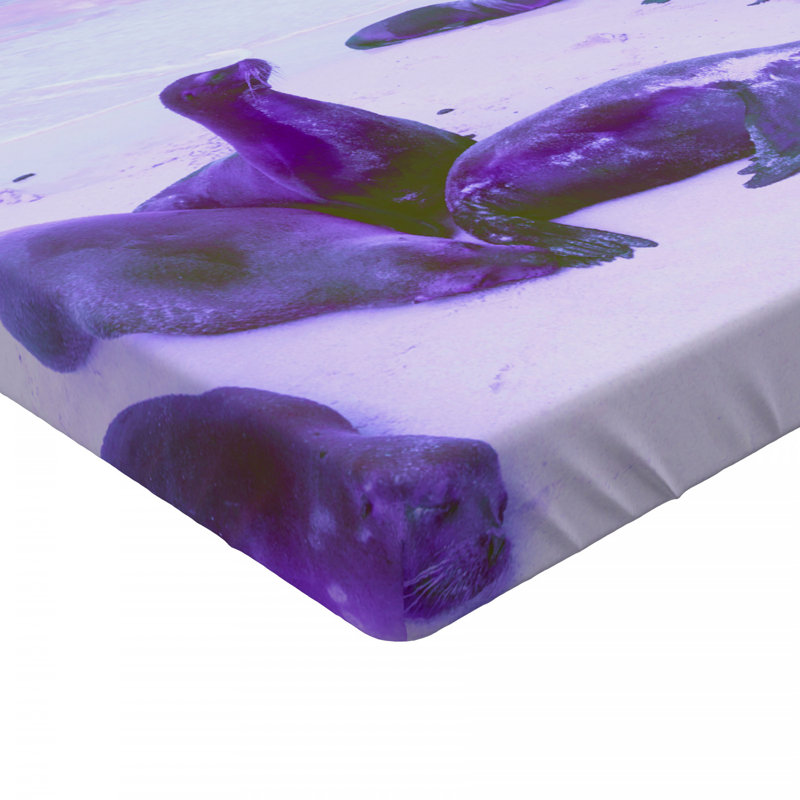 Microfiber Fitted Sheet, Twin Fitted Sheet