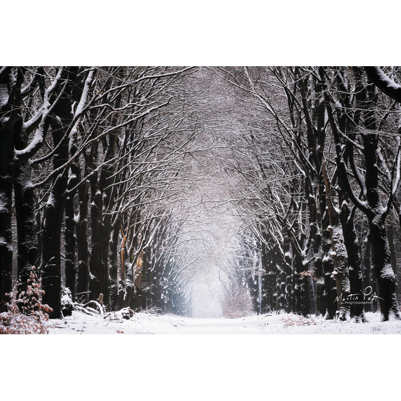 " Winter Tunnel " by Martin Podt, 8" H x 12" W, Wrapped Canvas