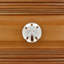 1 1/2" Sand Dollar Small Knob-128036966-128036965-39948843