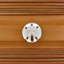 Petit bouton Sand Dollar (ensemble de 2)-39948843-128036965-128036966
