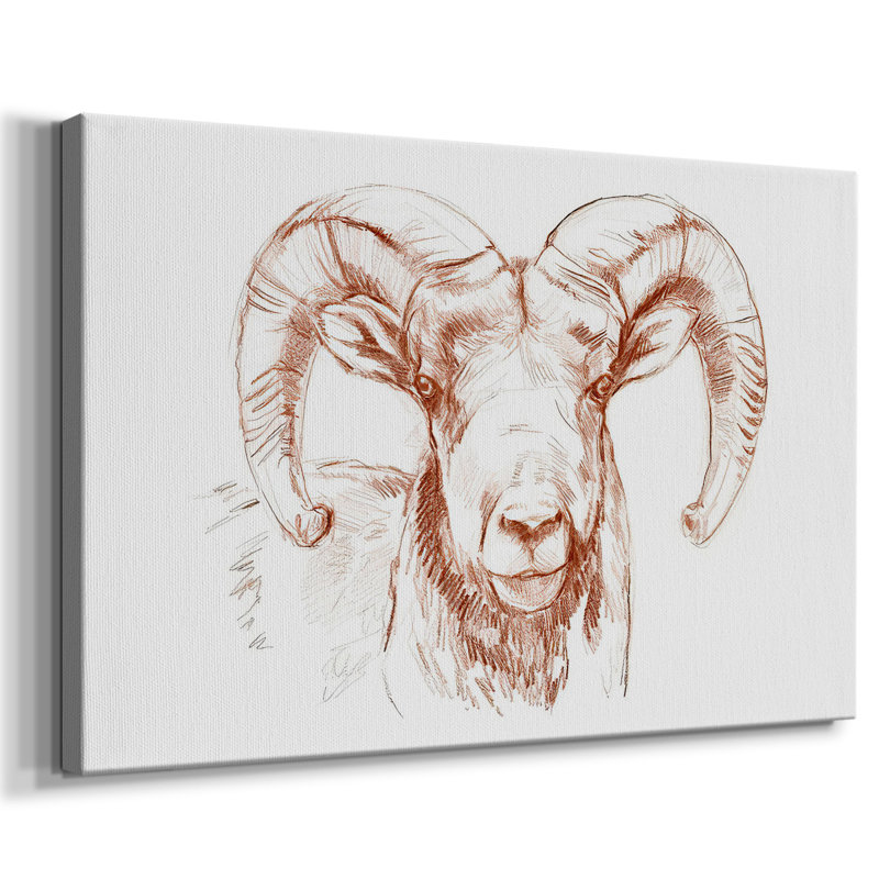 Toile tendue Big Horn Sheep II-Gallery, H 40 po x l 60 po
