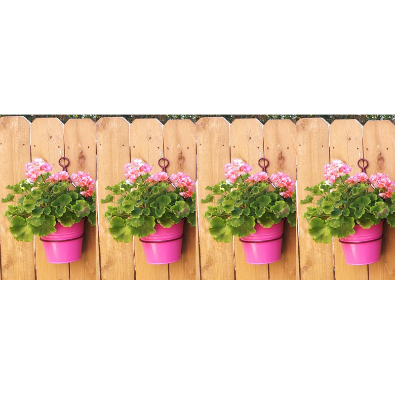 Pot à fleurs Rehobeth, Rose millennial, 4