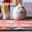 Tapis intérieur / extérieur Briella 200 Performance Southwestern-1106461111