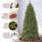 7.5ft. Lehigh Valley Slim Pine Tree with Dual Color LED Lights