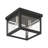 Teodro Glass Flush Mount