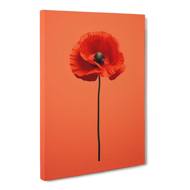 Poppy Flower Minimalism - Wrapped Canvas, 50cm H x 35cm W x 3cm D