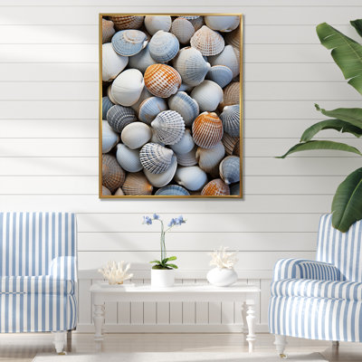 «Beach Photo Seashell Beauty V - Coastal Animal», reproduction d'art mural