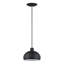 Mini-luminaire suspendu noir 1 lumière Domma-1673045589-1673045585