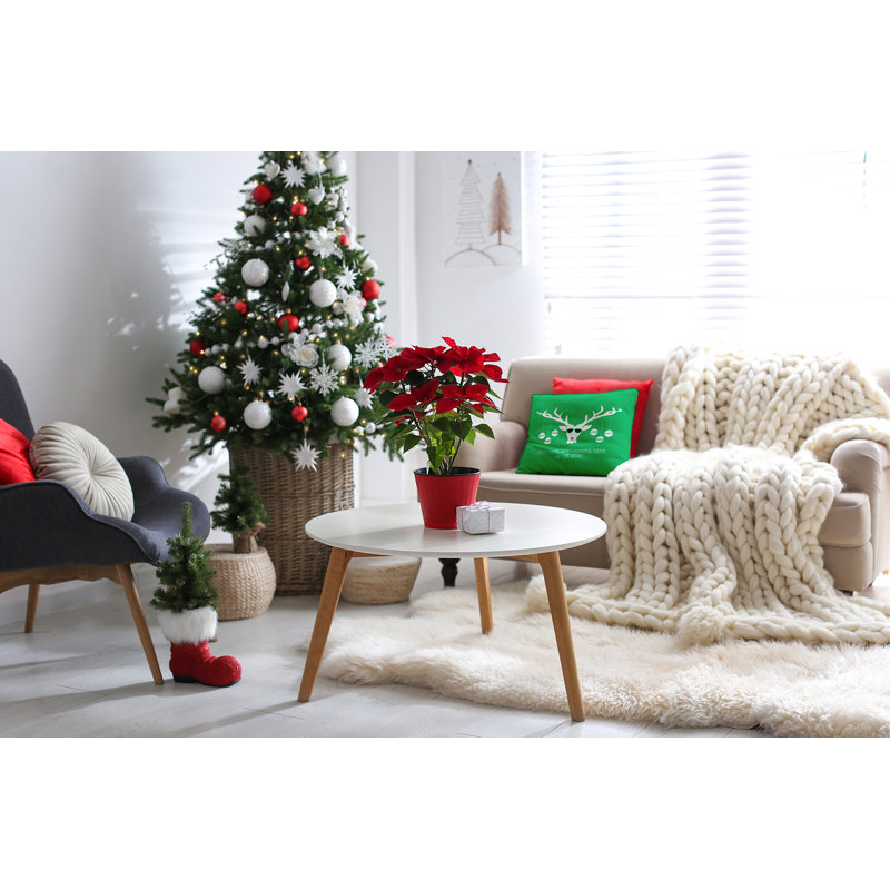 Coussin décoratif Cool Christmas Deer_PHAW1574GR66, Carré, 26 po x 26 po