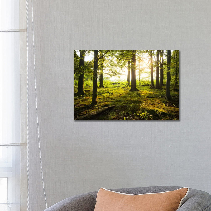 Forest by Stefan Hefele - Wrapped Canvas Print, 66.04 cm H x 45.72 cm W x 1.91 cm D