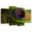 Brampt Eyespot On Peacock Feather