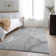 Premium Machine Washable Cerrito AMF510 Gray Rug