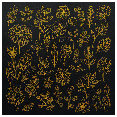 Rideaux de douche Botanical Illustration