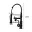 Belfry Kitchen Lippencott Pull Down Kitchen Faucet-63771436