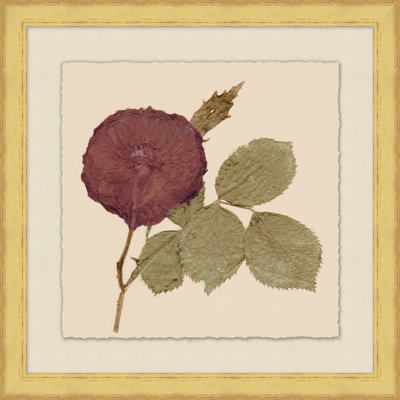 Fleurs pressées 3 - Peinture encadrée sur papier